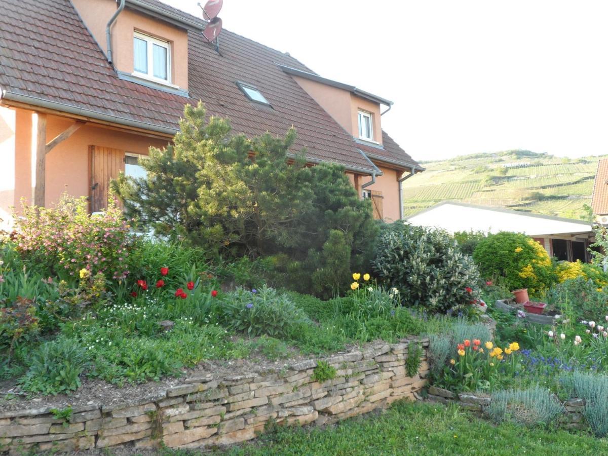 Chez Le Vigneron Appartement Westhalten Buitenkant foto